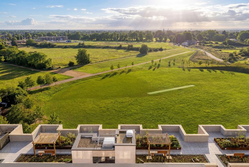 Version-3_Sun-and-Trees