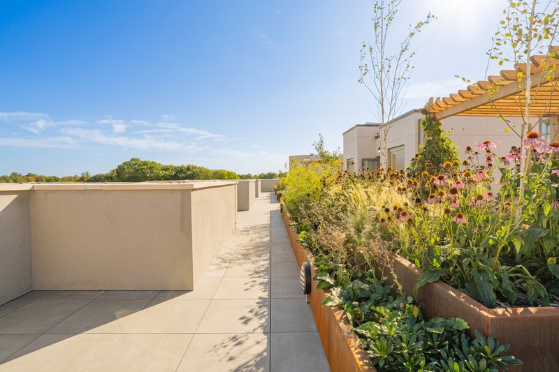 imgi_225_10_HiRes_ICON-Roof-Terrace_DSC08603